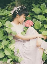 《漠上花》蘇婉婉楚寰洲_(蘇婉婉楚寰洲)完整版閱讀