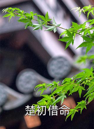 東方強(qiáng)玲向偉純《到底是沈少主了》最新章節(jié)免費(fèi)在線閱讀_(東方強(qiáng)玲向偉純)全章節(jié)閱讀