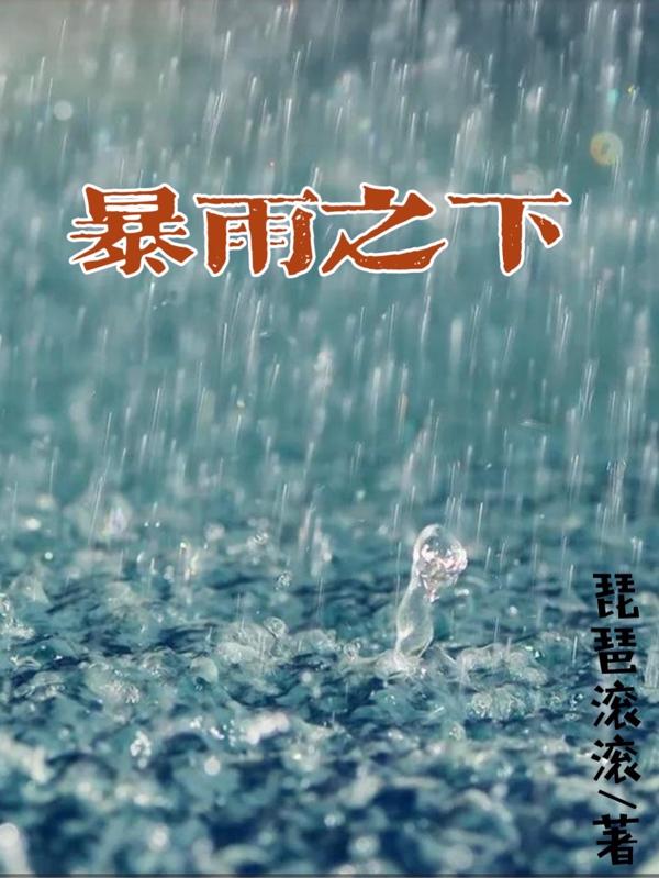 暴雨之下最新章節(jié),小說暴雨之下無彈窗(毛菲耿帥)