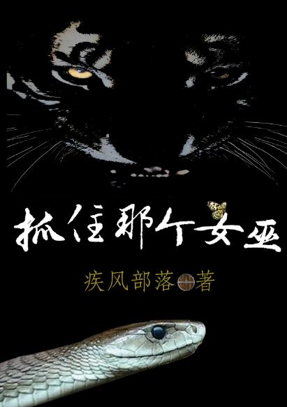 《抓住那個女巫》小說章節(jié)列表免費試讀泰格伊娃小說全文