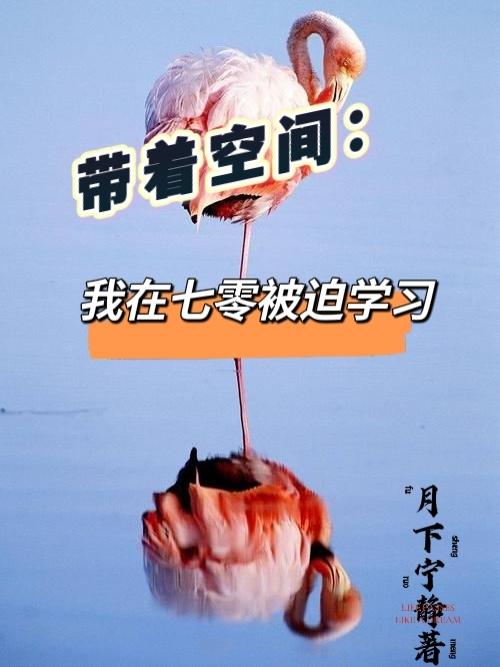 帶著(zhù)空間：我在七零被迫學(xué)習顧新月趙辰淵的小說(shuō)免費閱讀完整版