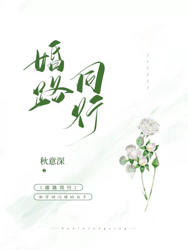 婚路同行司南倪安的小說(shuō)免費(fèi)閱讀完整版