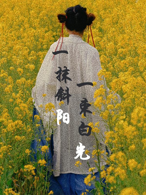 一抹斜陽(yáng)一束白光韓白蘇言瑾夕全文免費(fèi)閱讀