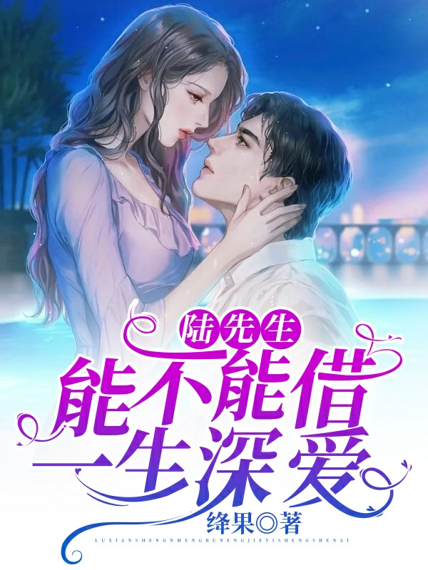 陸先生，能不能借一生深愛的小說免費閱讀完整版