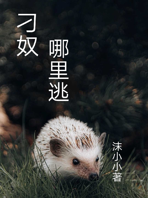 《刁奴哪里逃》小說章節(jié)列表免費(fèi)試讀衛(wèi)小葉嚴(yán)小星小說全文