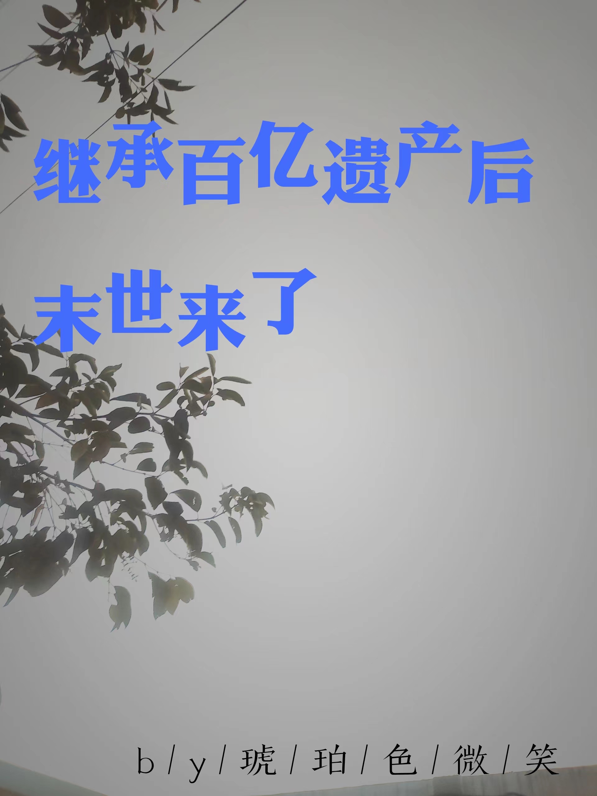 《繼承百億遺產(chǎn)后末世來了》主角夏寶星左自言小說免費(fèi)閱讀最新章節(jié)