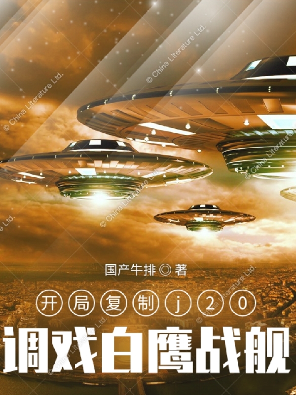 開局復制J20，調(diào)戲白鷹戰(zhàn)艦全本免費閱讀,楊啟小說全文