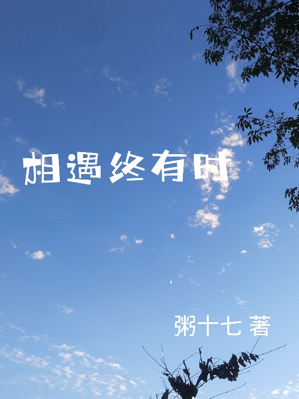 相遇終有時(shí)顧念沈嘉琰小說(shuō)全文免費(fèi)閱讀