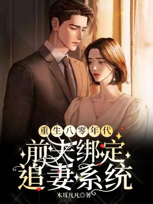 《重生八零年代：前夫綁定追妻系統(tǒng)》小說章節(jié)列表免費試讀葉雅南小說全文