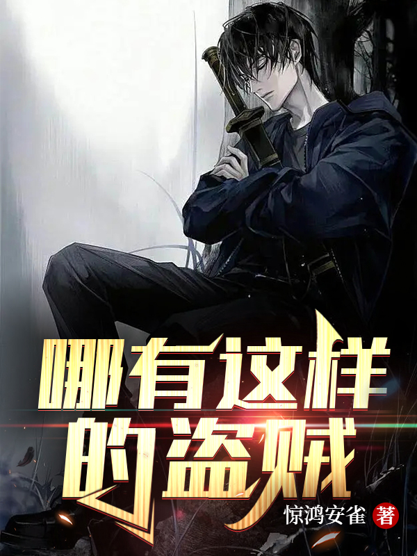 哪有這樣的盜賊劉浪沐晴的小說免費閱讀完整版