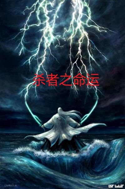 《殺者之命運(yùn)》小說章節(jié)列表免費(fèi)試讀文子祁江小盈小說全文