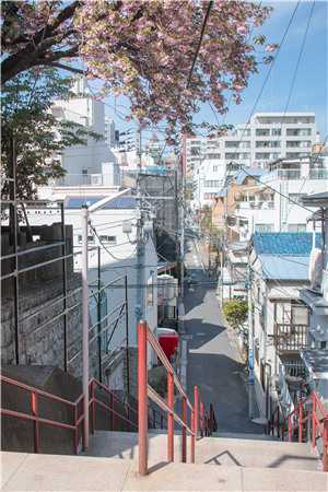 姜夜川路淼淼(七個男友碰面后，我翻車了)_(姜夜川路淼淼)全章節(jié)閱讀